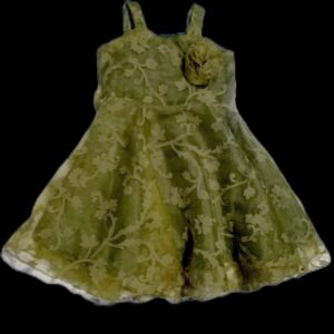 Enchanting Organza Frock for Little Princesses (3-4 Years)